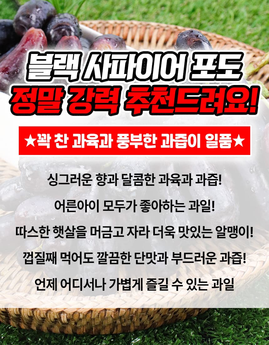 상품정보