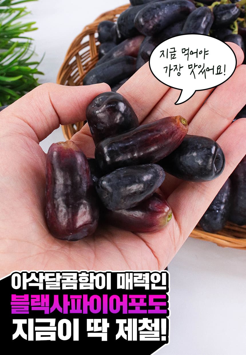 상품정보
