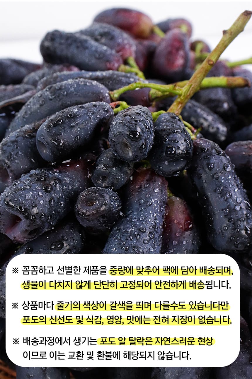상품정보