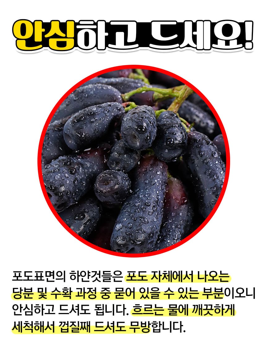 상품정보