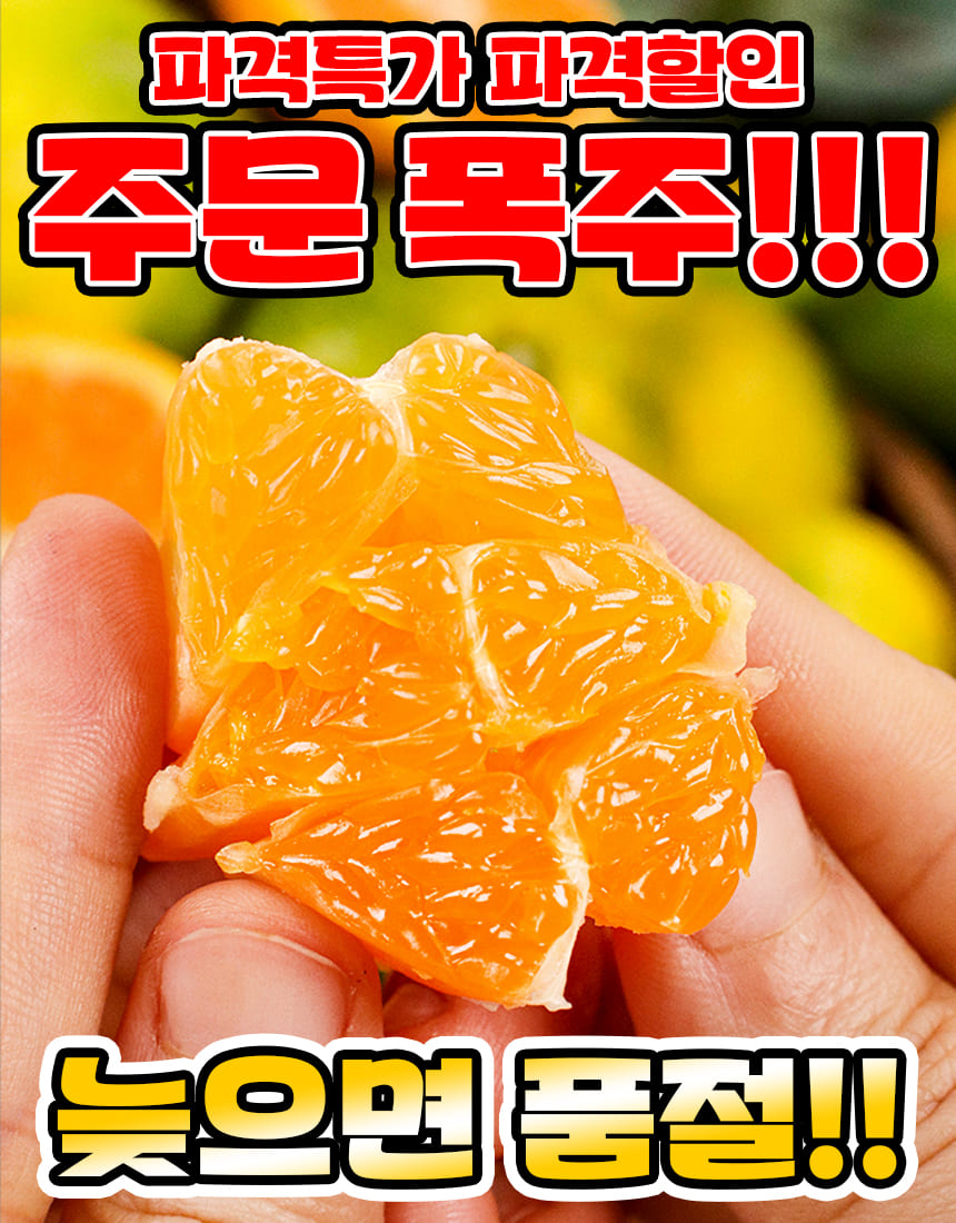 상품정보