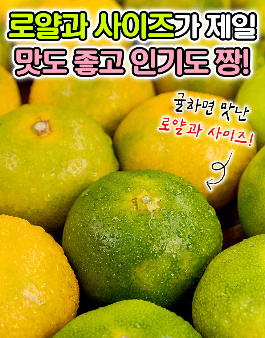 상품정보