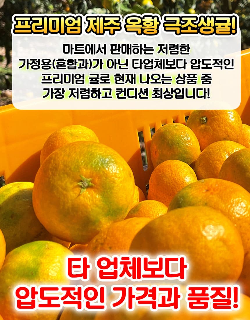상품정보