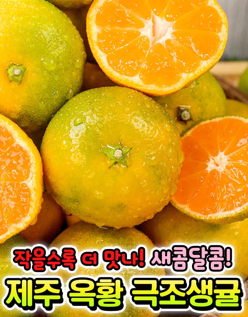 상품정보