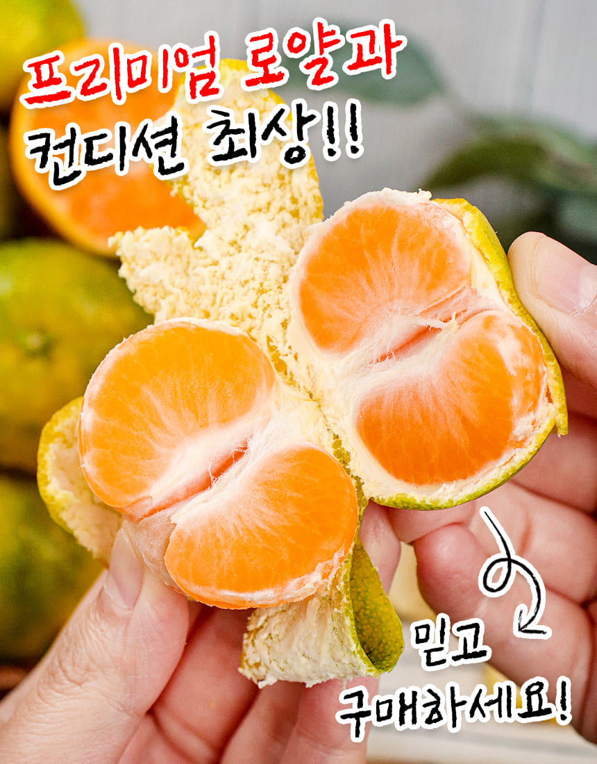 상품정보