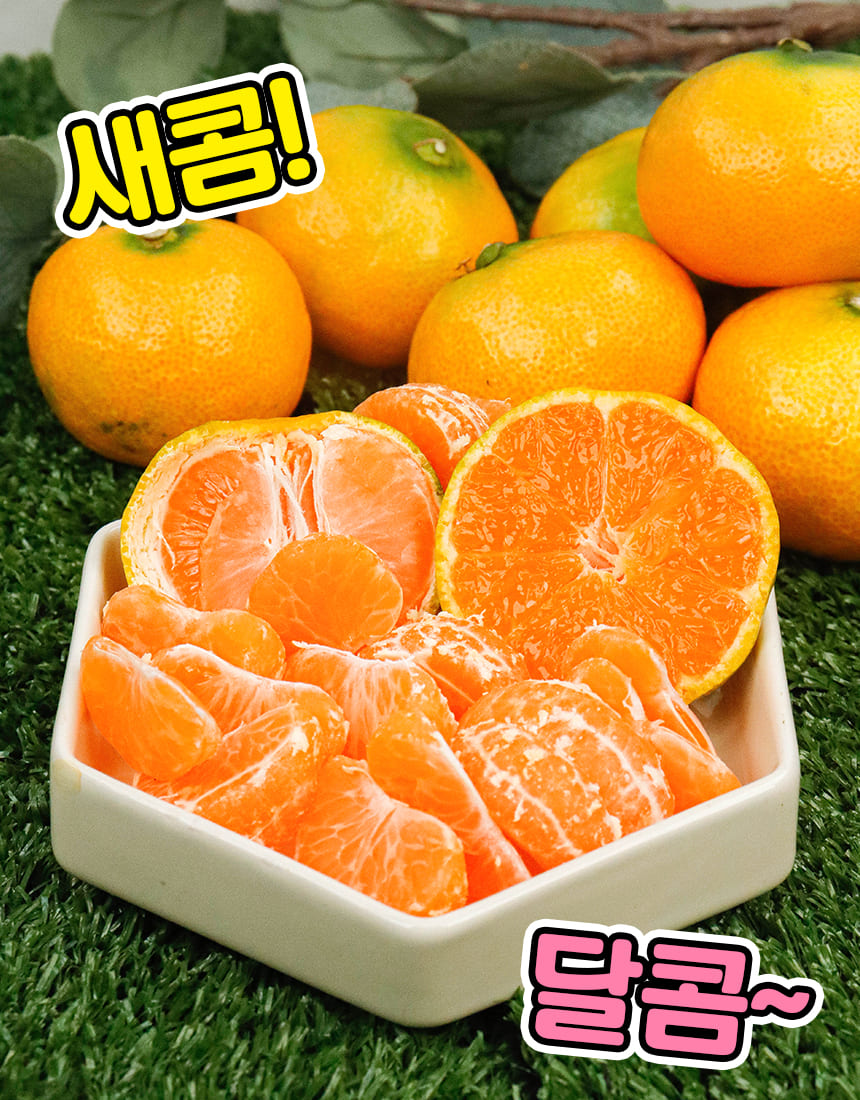 상품정보