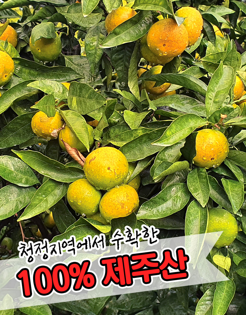 상품정보