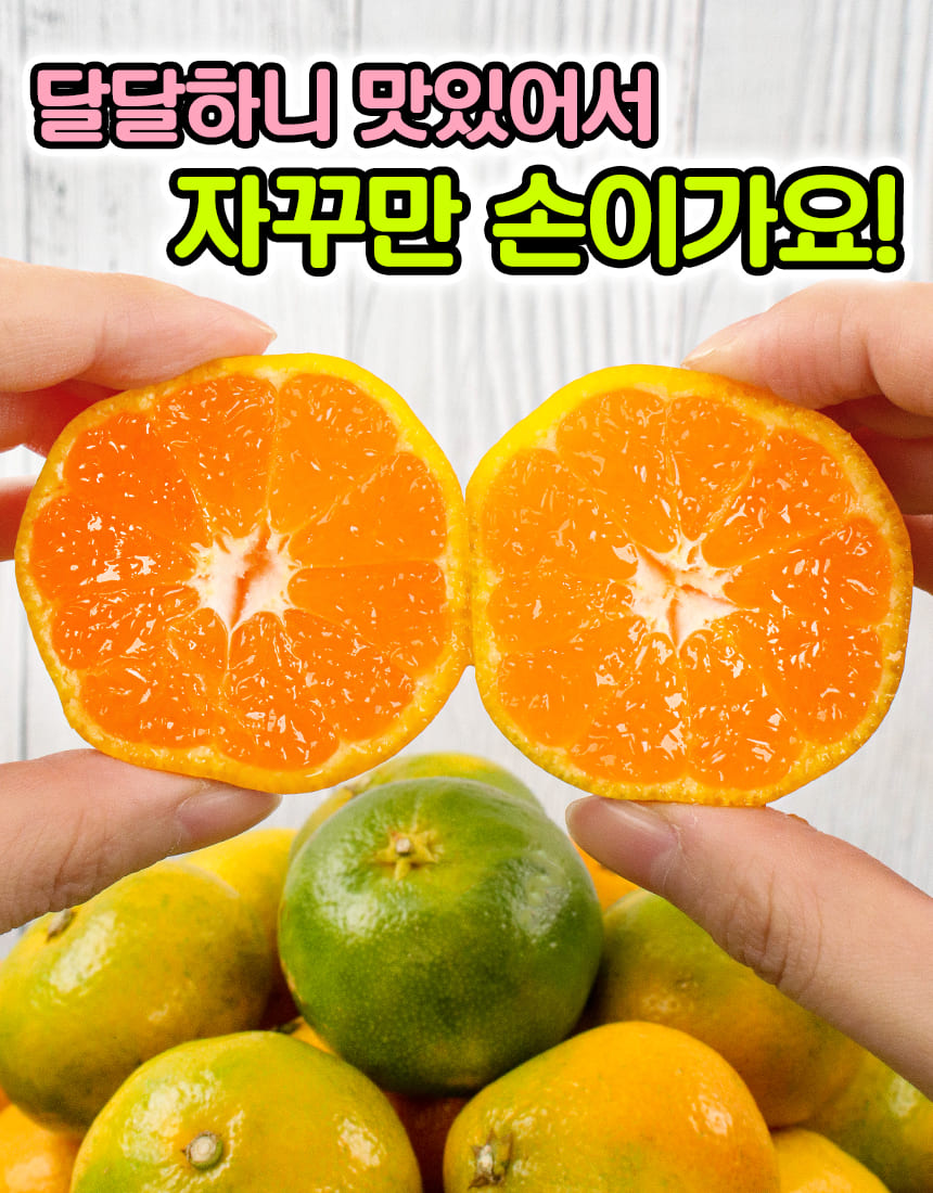 상품정보