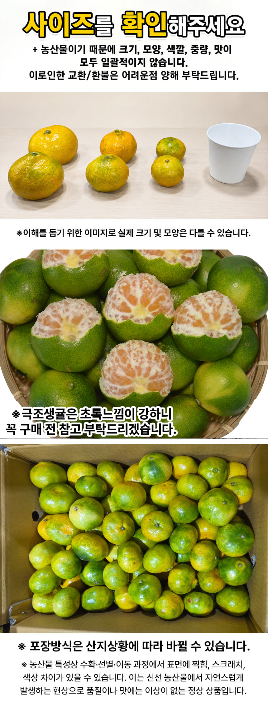 상품정보
