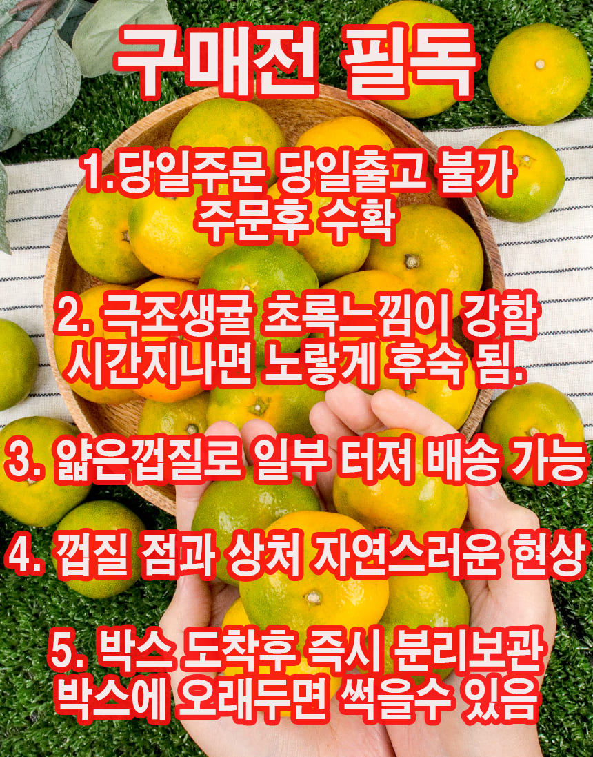 상품정보
