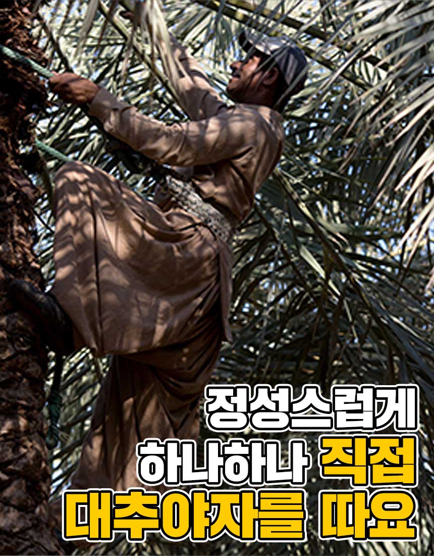 상품정보
