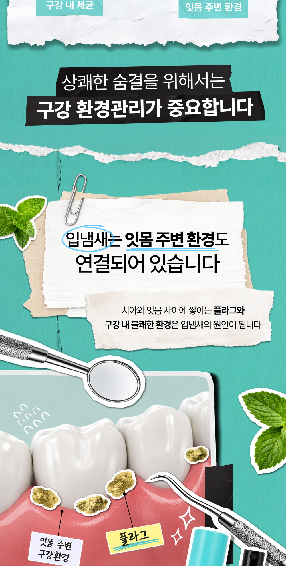 상품정보