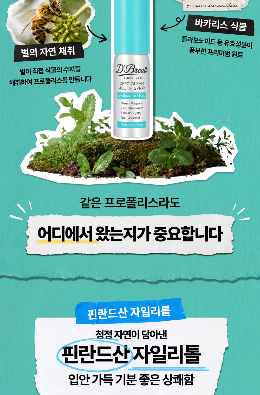 상품정보