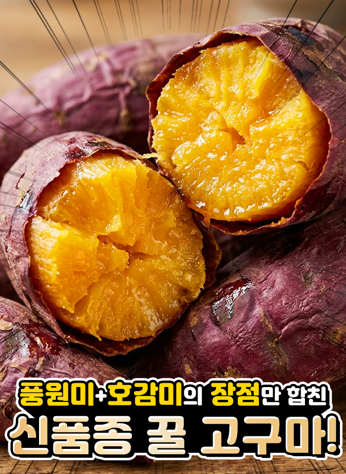 상품정보