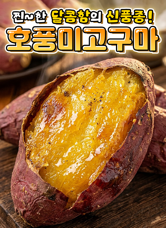 상품정보