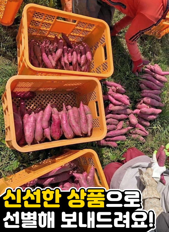 상품정보