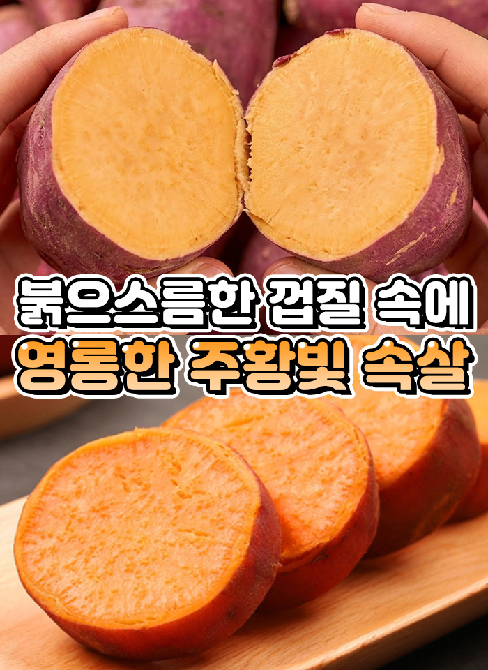 상품정보
