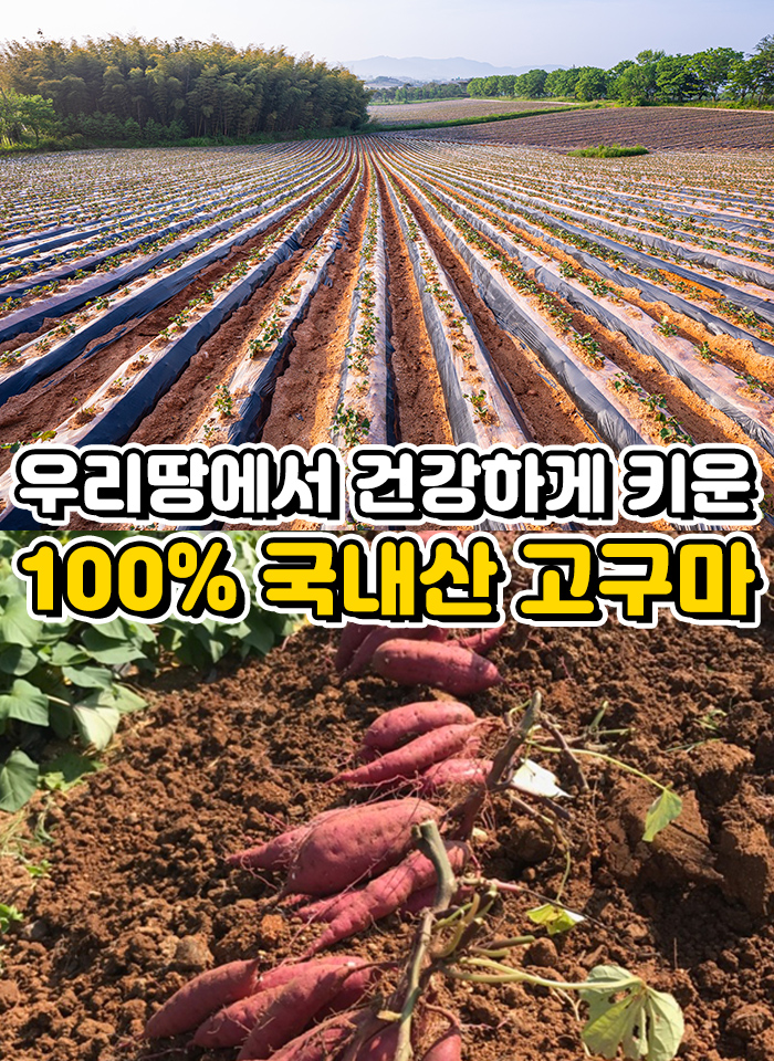 상품정보