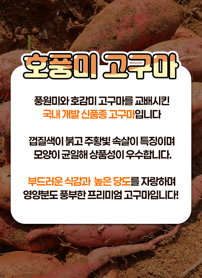 상품정보