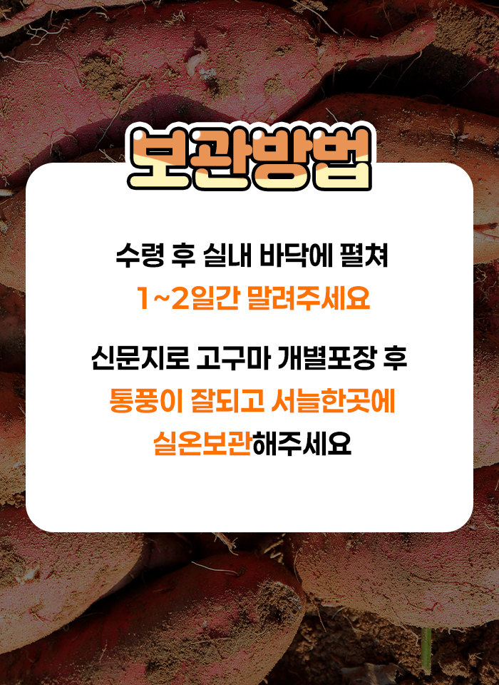 상품정보