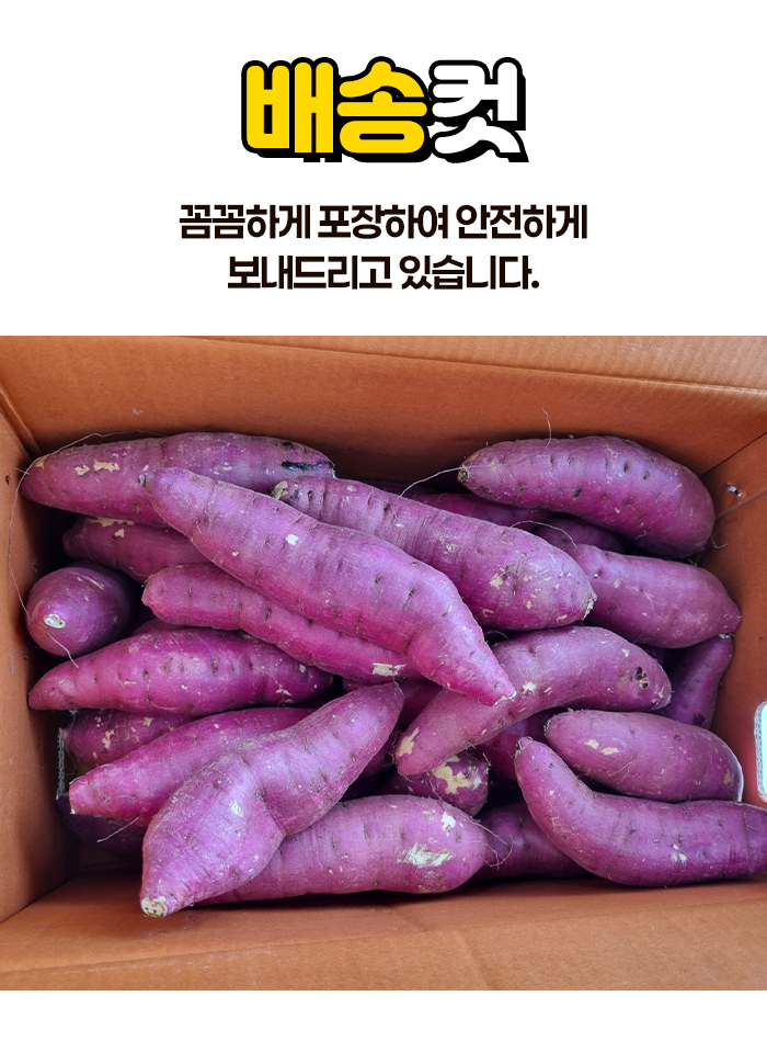 상품정보