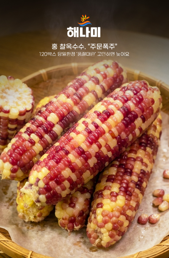 상품정보