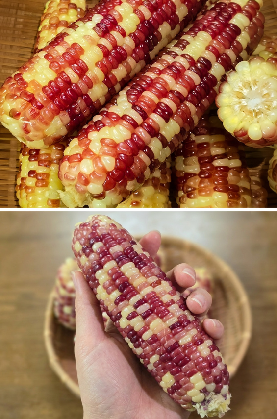 상품정보