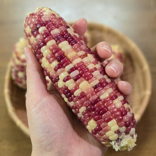 상품정보