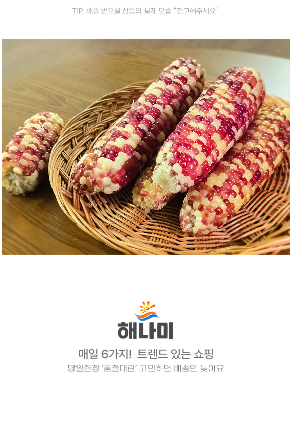 상품정보