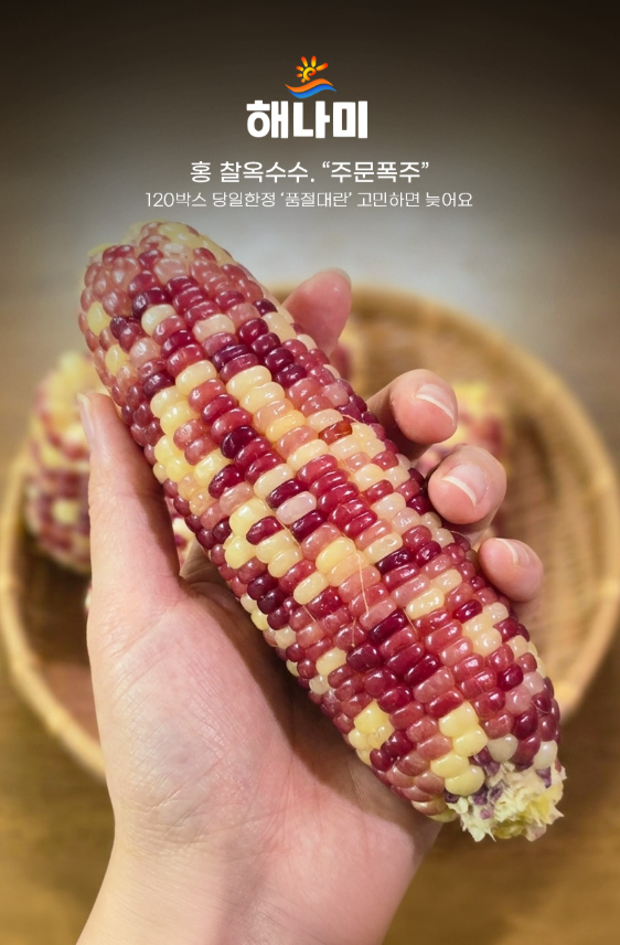 상품정보