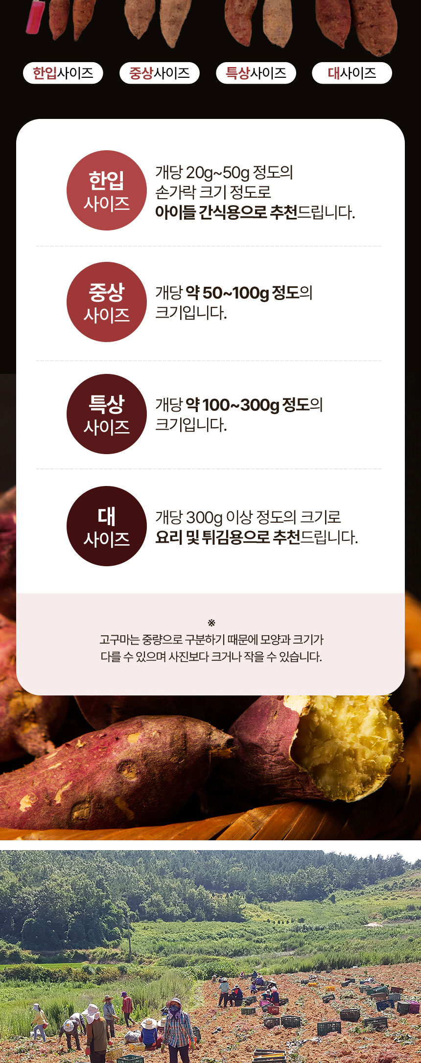 상품정보