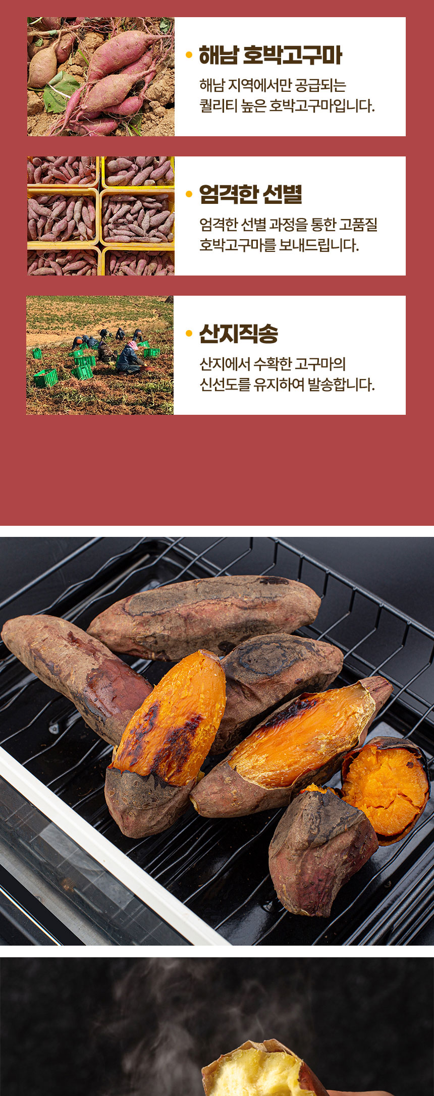 상품정보