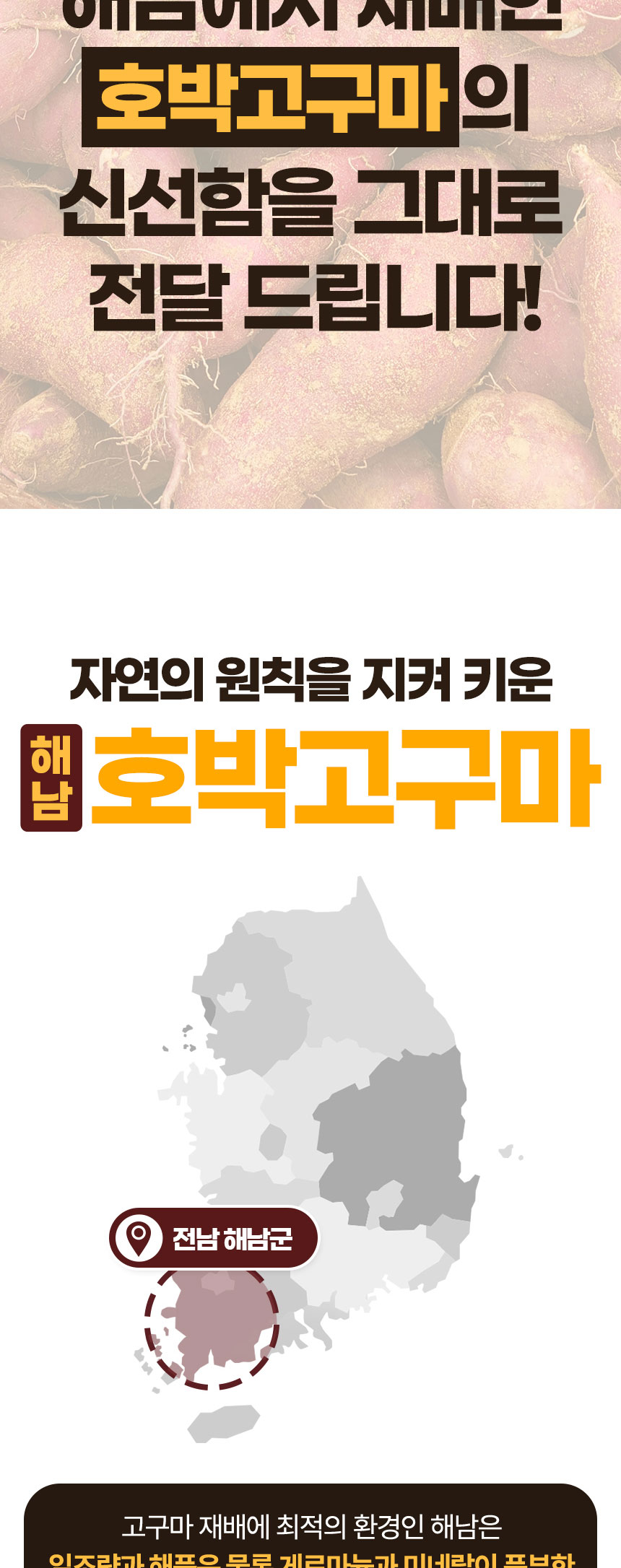 상품정보