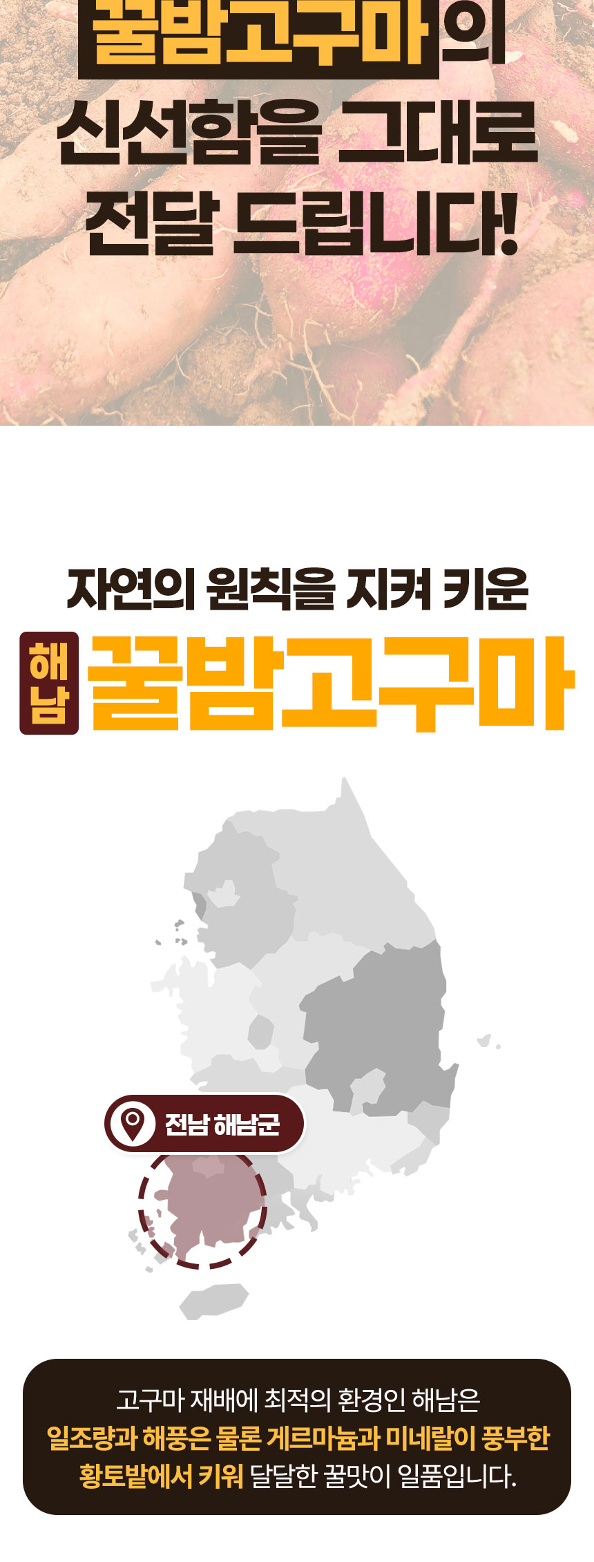 상품정보