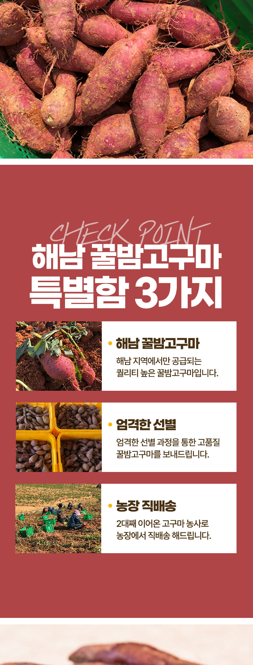 상품정보