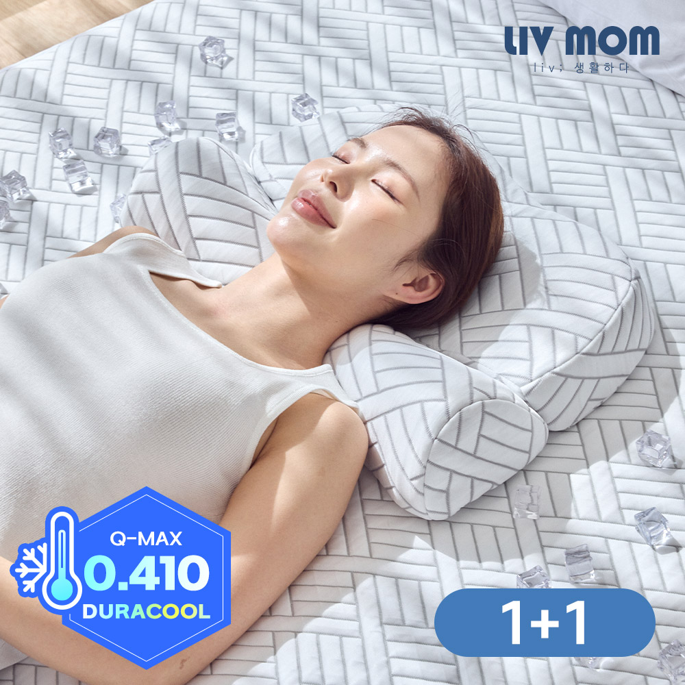 3zone 듀라쿨 아이스냉감 메모리폼 기능성 바른자세 경추베개 1+1 (분리가능커버)
