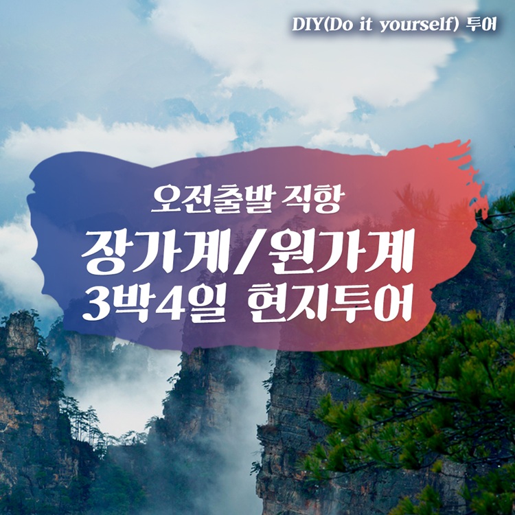 [오전 직항] 중국 장가계 원가계 3박 4일 단독여행 천문산 대협곡 유리다리 소그룹 현지투어 가이드 동행
