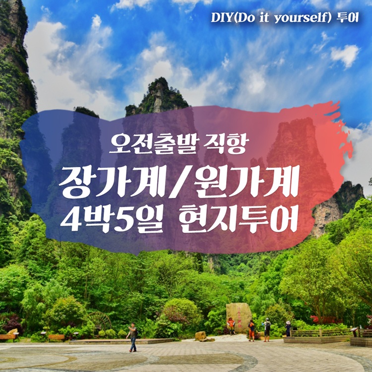 [오전 직항] 중국 장가계 원가계 4박 5일 단독여행 천문산 보봉호수 소그룹 현지투어 가이드 동행
