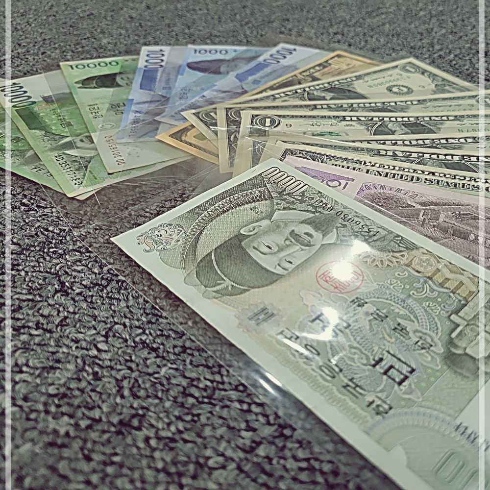 지폐 수집 - 검색결과 | 쇼핑하우