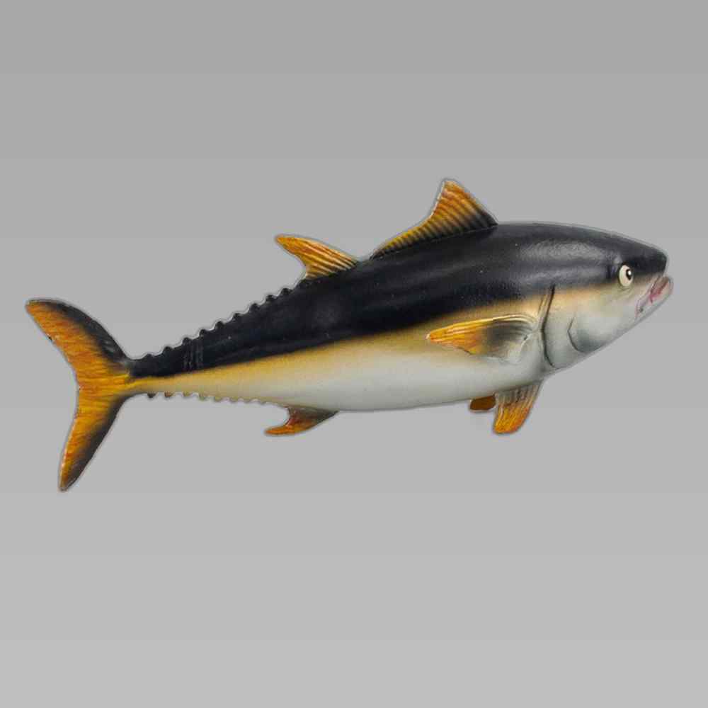 モモス海洋生物カトラ（T6009）動物学習動物モデルモデル玩具