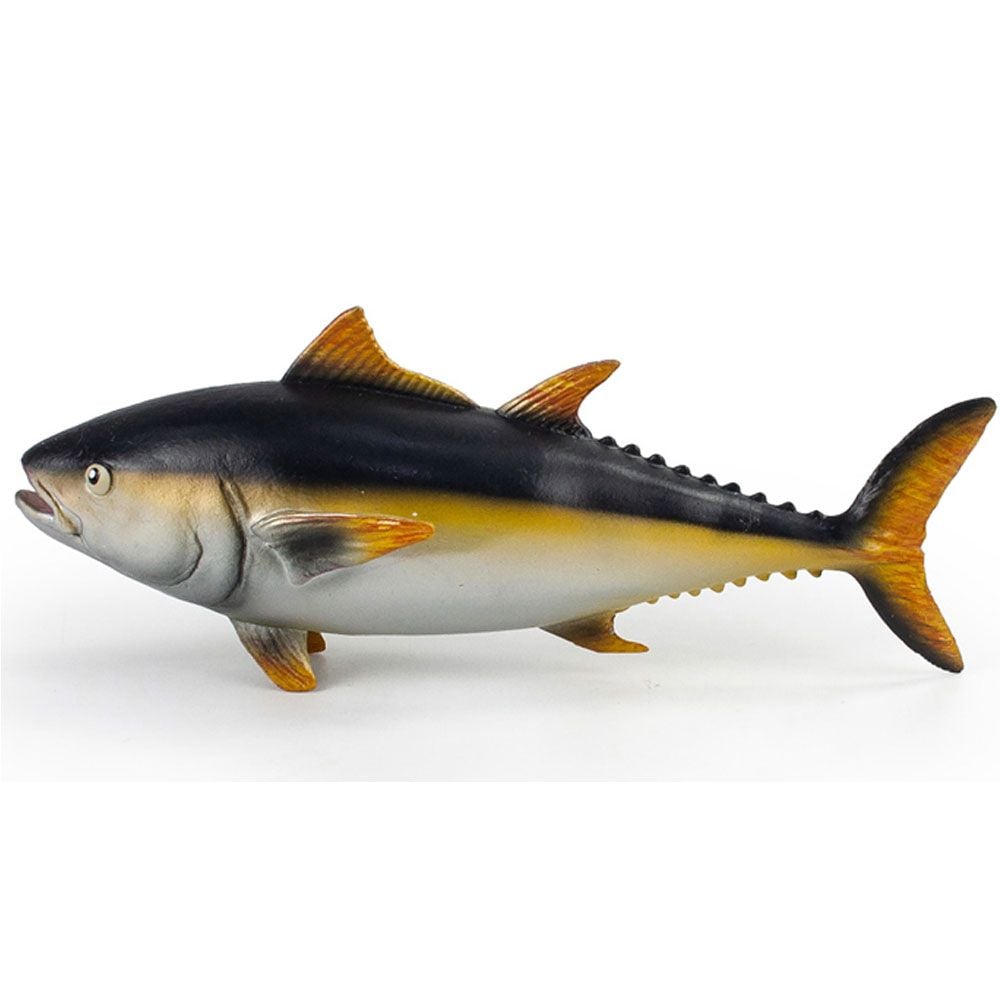 モモスマグロフィギュアモデル玩具科学玩具おもちゃ