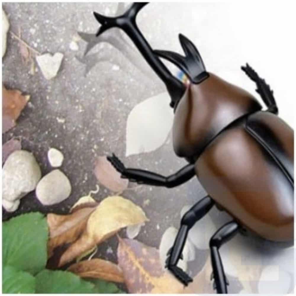 BUGS おもちゃカブトムシ おもちゃ 色ランダムキッズおもちゃ RC おもちゃ