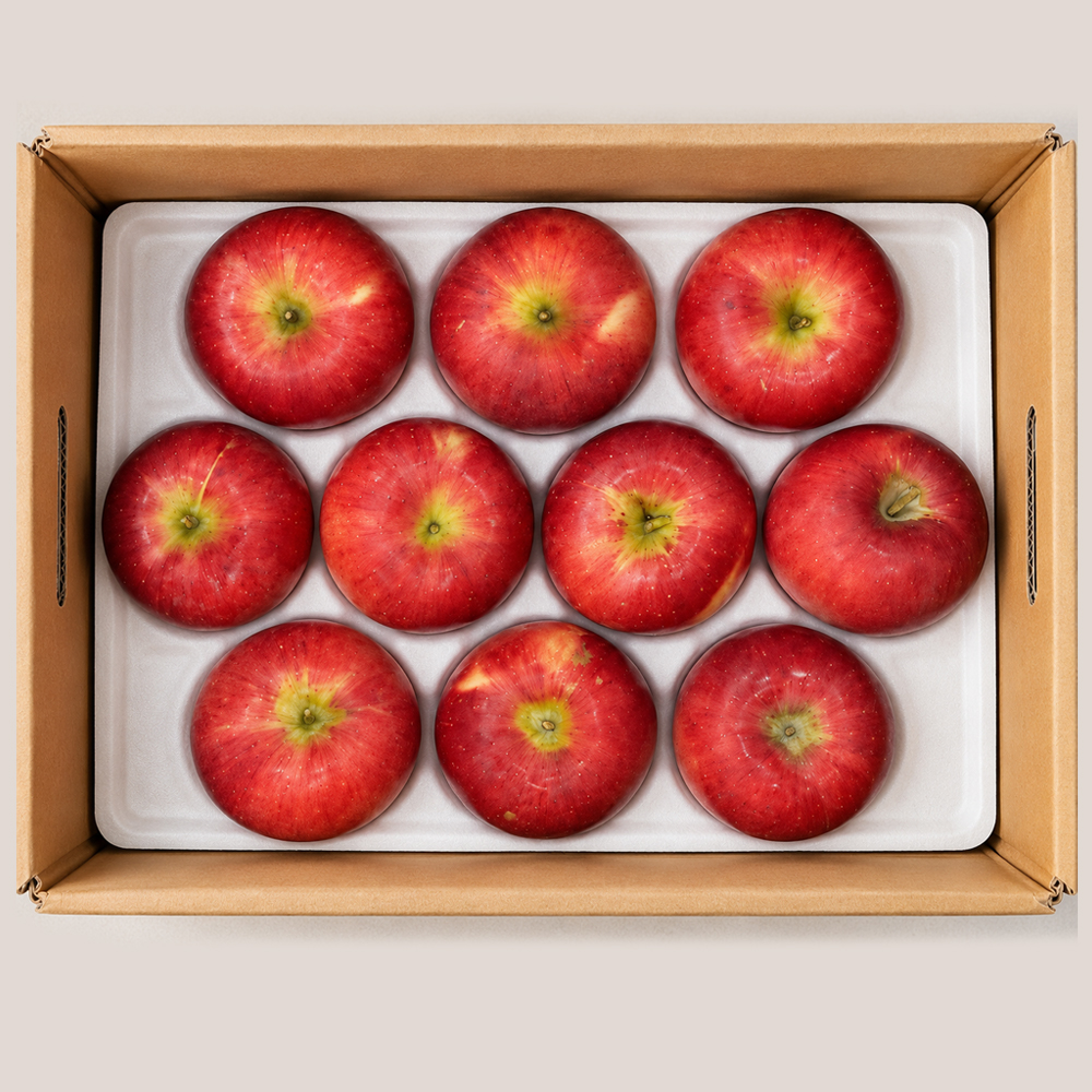 [대한민국농수산] (농할) 국내산 26년 햇 아리수 사과 2kg