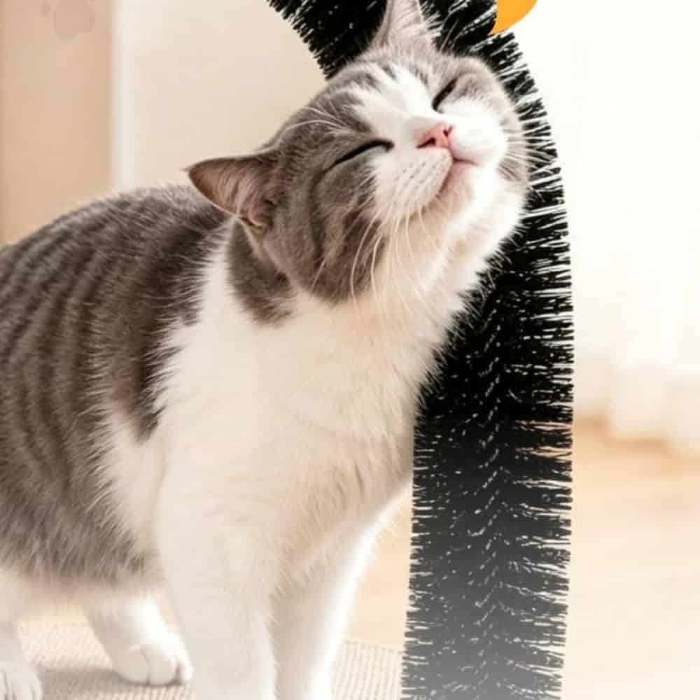 ファニー猫ブラシおもちゃ猫遊ぶキャットイペット玩具ペットおもちゃ猫おもちゃ