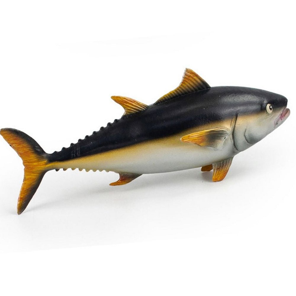 （オルフィン）モモス海洋生物カトラ（T6009）動物学習動物モデルモデル玩具