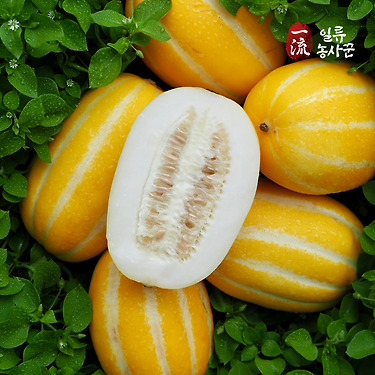 [톡딜] 성주 참외 4.5kg 13~18과 (14,890원/무배)