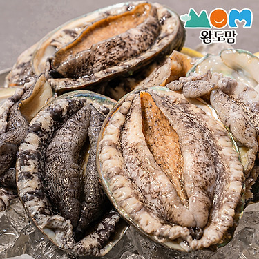 [톡딜] 남도장터 완도맘 산지직송 완도 활전복 11-12미 1kg (16,700원/무배)
