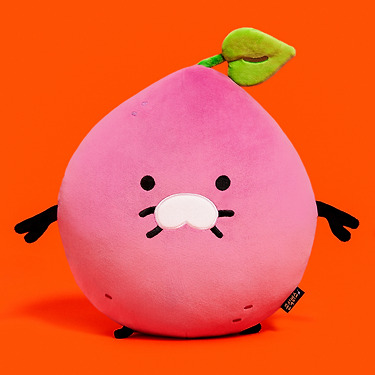 Cushion Chunsik