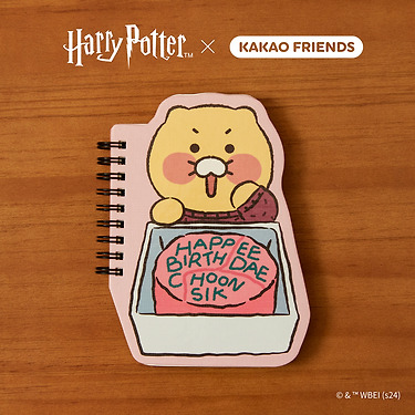 KAKAO FRIENDS - XFriends MiniCarnet Chunsik