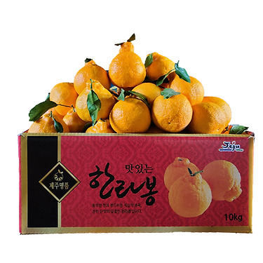 노지 한라봉 2kg 소과(9-13입)